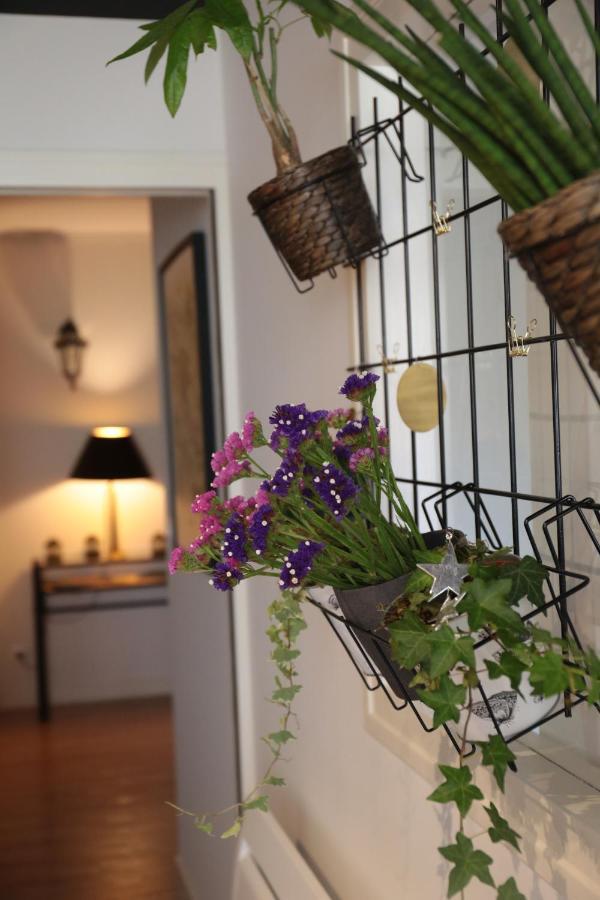 דירות טור Le Floreal, Great Quiet Appt In Very Town Center מראה חיצוני תמונה